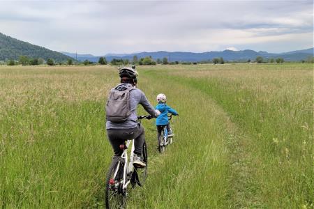 IMG_20240525_151921 a